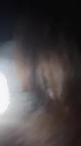 电影院人前口交
