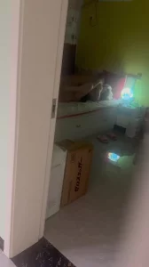 去夫妻家中做爱
