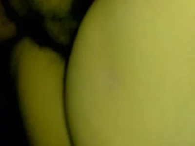 有对话有他说好爽