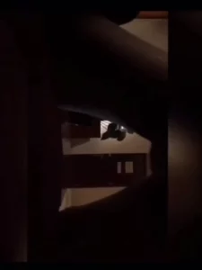 麻烦管理解除一下禁言
