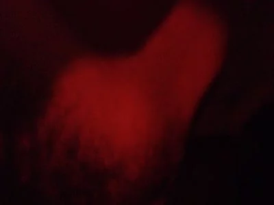 新红楼梦 艳情版