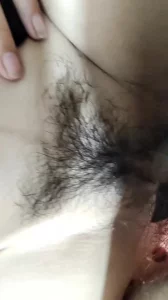 日本高清视频网站www