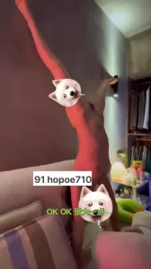 字幕版更加有感觉